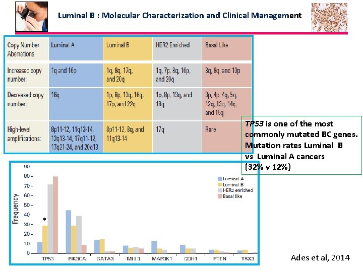 Luminal B : Molecular Characterization and Clinical Management TP 53 is one of the