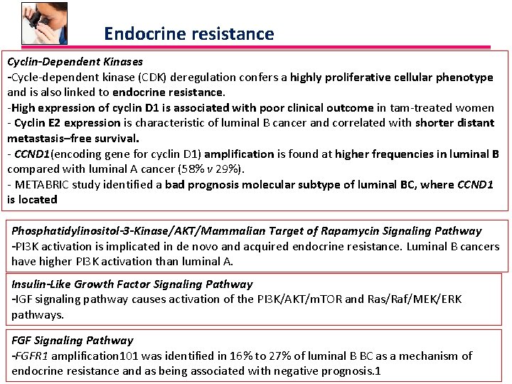 Endocrine resistance Cyclin-Dependent Kinases -Cycle-dependent kinase (CDK) deregulation confers a highly proliferative cellular phenotype