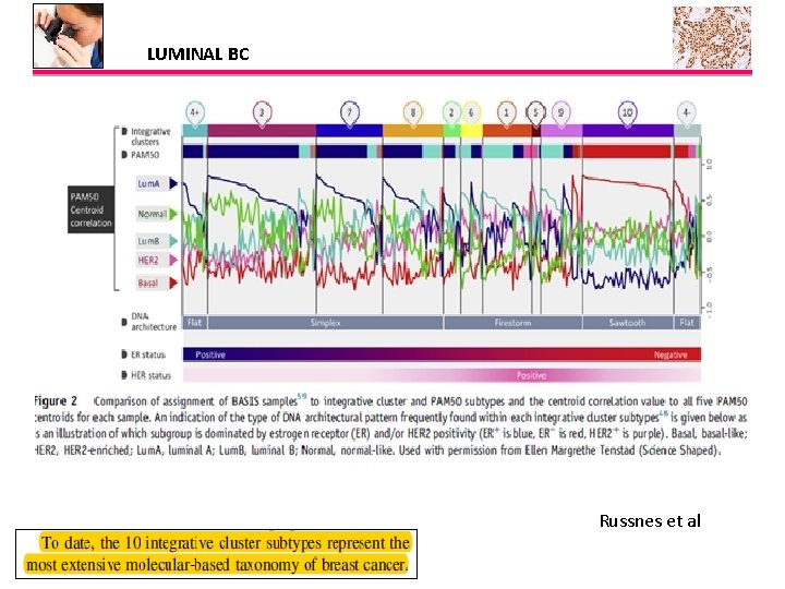 LUMINAL BC Russnes et al 