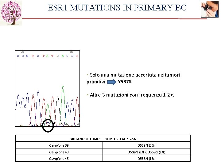 ESR 1 MUTATIONS IN PRIMARY BC • Solo una mutazione accertata neitumori primitivi Y