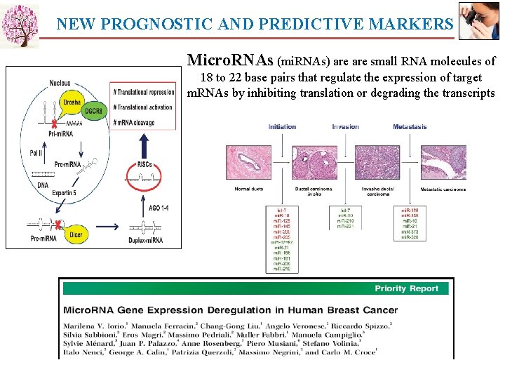 NEW PROGNOSTIC AND PREDICTIVE MARKERS Micro. RNAs (mi. RNAs) are small RNA molecules of