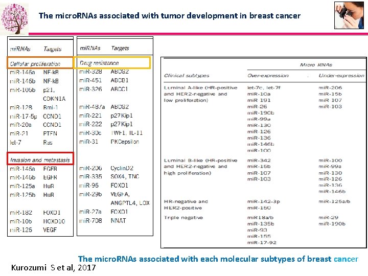 The micro. RNAs associated with tumor development in breast cancer The micro. RNAs associated