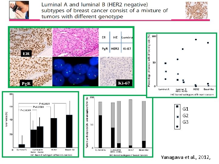 G 1 G 2 G 3 Yanagawa et al. , 2012, 