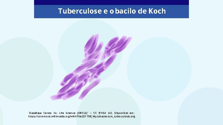 Tuberculose e o bacilo de Koch “Data. Base Center for Life Science (DBCLS)” –