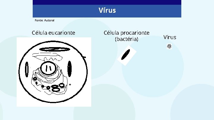 Vírus Fonte: Autoral Célula eucarionte Célula procarionte (bactéria) Vírus 