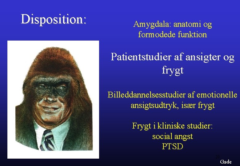 Disposition: Amygdala: anatomi og formodede funktion Patientstudier af ansigter og frygt Billeddannelsesstudier af emotionelle