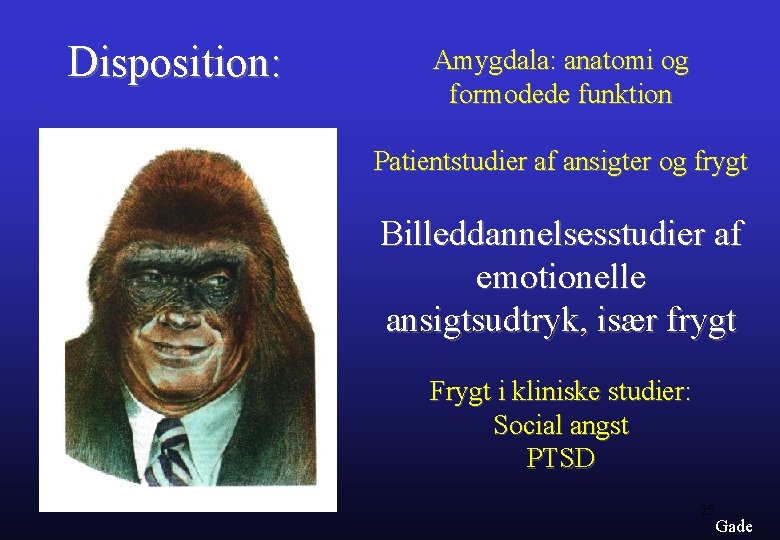 Disposition: Amygdala: anatomi og formodede funktion Patientstudier af ansigter og frygt Billeddannelsesstudier af emotionelle