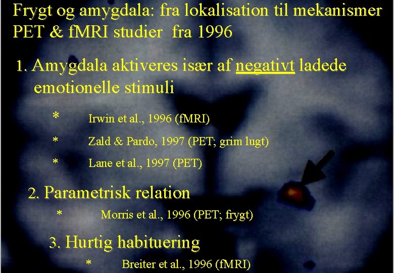 Frygt og amygdala: fra lokalisation til mekanismer PET & f. MRI studier fra 1996