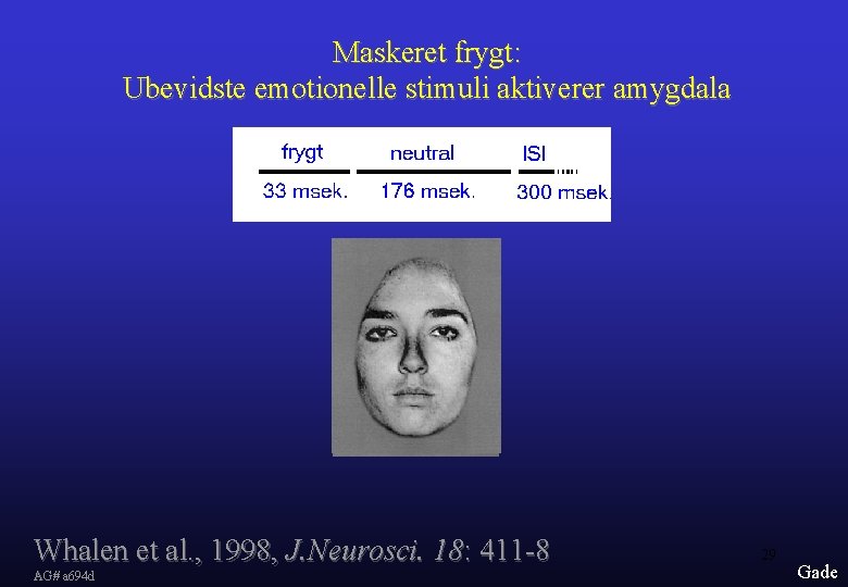 Maskeret frygt: Ubevidste emotionelle stimuli aktiverer amygdala Whalen et al. , 1998, J. Neurosci.