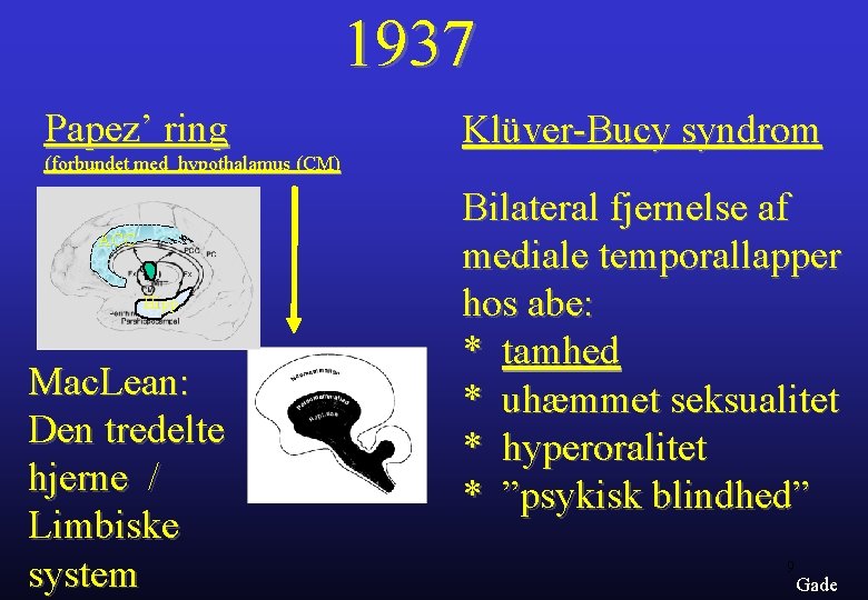 1937 Papez’ ring (forbundet med hypothalamus (CM) ACC Hipp. Mac. Lean: Den tredelte hjerne