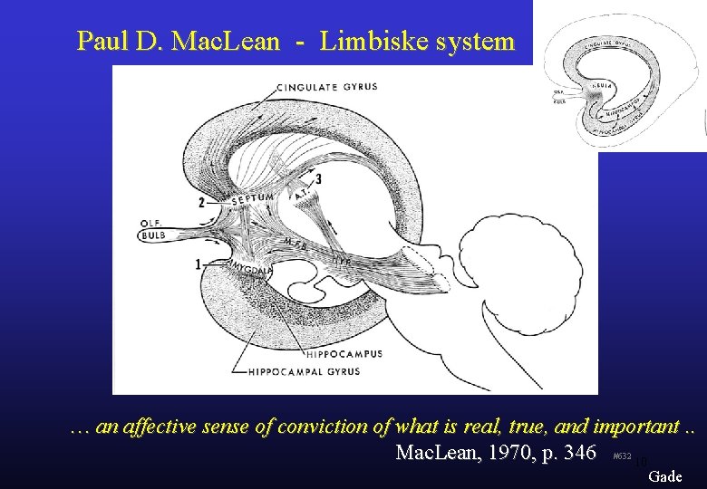 Paul D. Mac. Lean - Limbiske system … an affective sense of conviction of