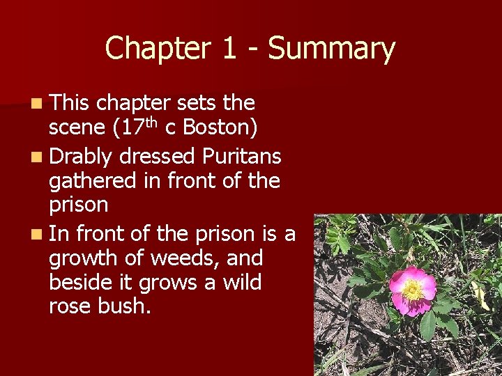 Chapter 1 - Summary n This chapter sets the scene (17 th c Boston)