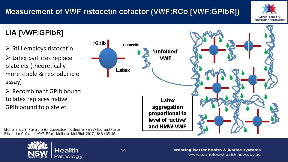 Measurement of VWF ristocetin cofactor (VWF: RCo [VWF: GPIb. R]) LIA [VWF: GPIb. R]