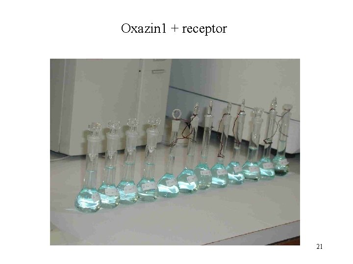 Oxazin 1 + receptor 21 