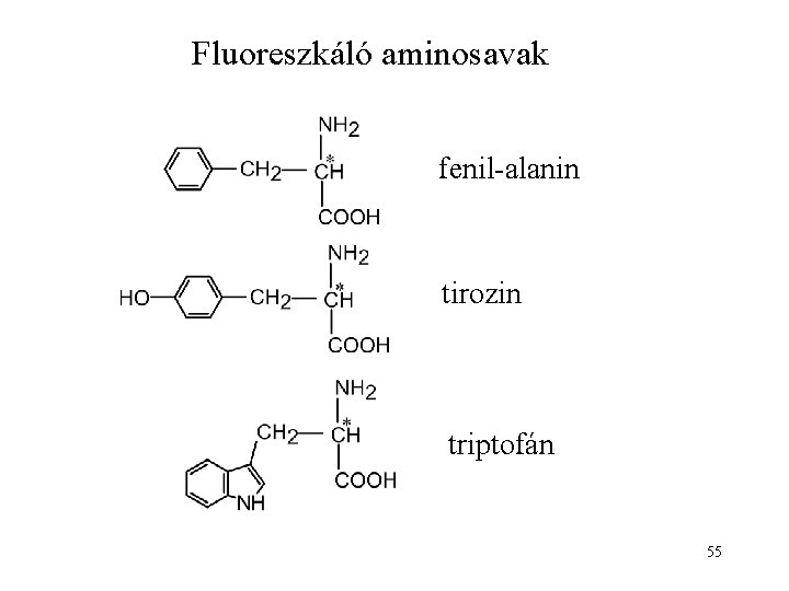 Fluoreszkáló aminosavak fenil-alanin tirozin triptofán 55 