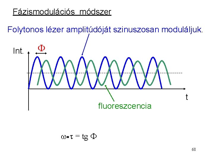 Fázismodulációs módszer Folytonos lézer amplitúdóját szinuszosan moduláljuk. Int. F fluoreszcencia t w·t = tg