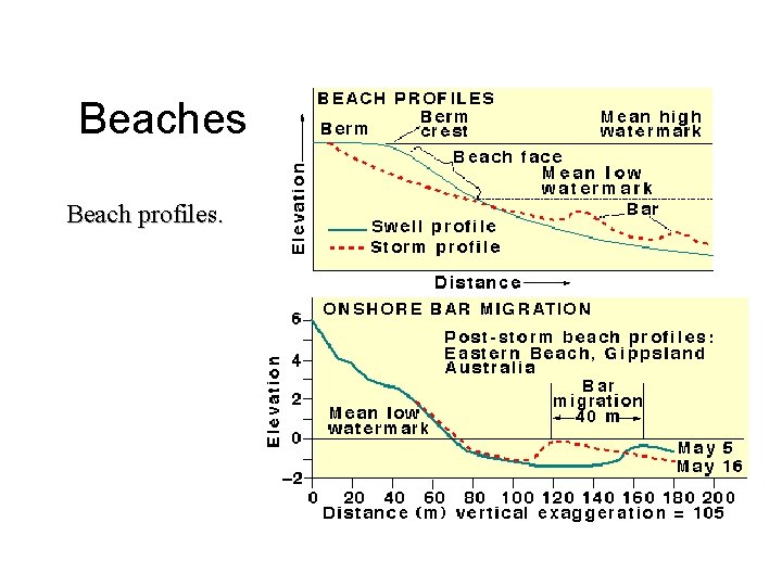 Beaches Beach profiles. 
