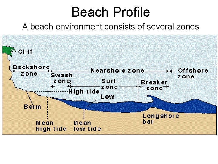 Beach Profile A beach environment consists of several zones 