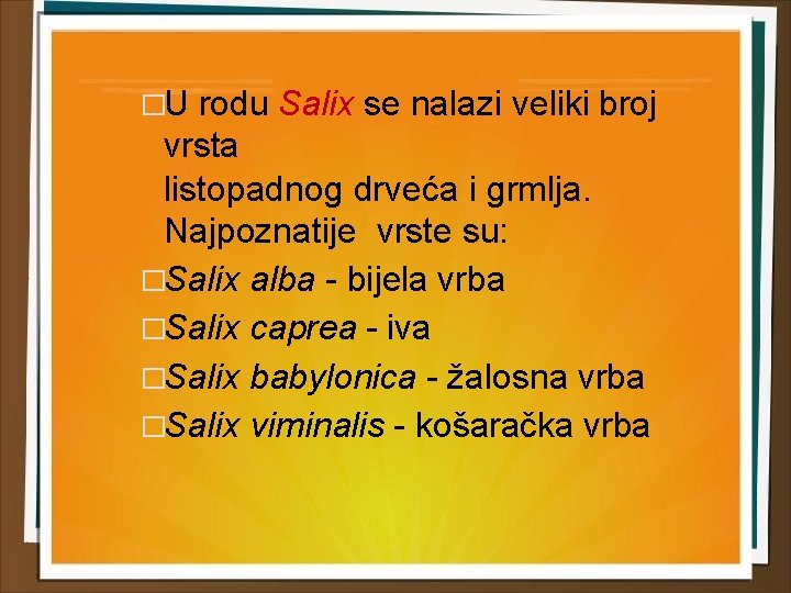 �U rodu Salix se nalazi veliki broj vrsta listopadnog drveća i grmlja. Najpoznatije vrste