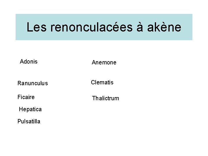 Les renonculacées à akène Adonis Anemone Ranunculus Clematis Ficaire Thalictrum Hepatica Pulsatilla 