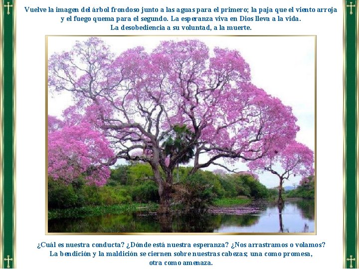 Vuelve la imagen del árbol frondoso junto a las aguas para el primero; la