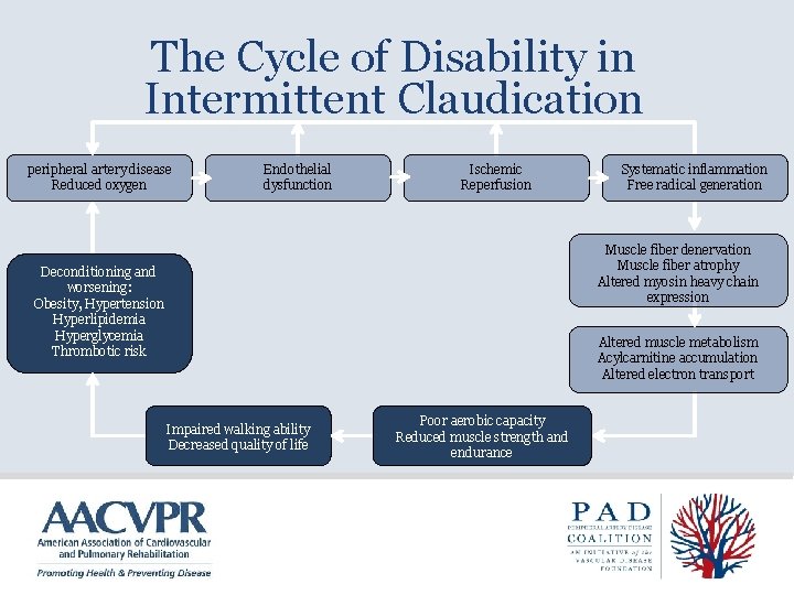 The Cycle of Disability in Intermittent Claudication peripheral artery disease Reduced oxygen Endothelial dysfunction
