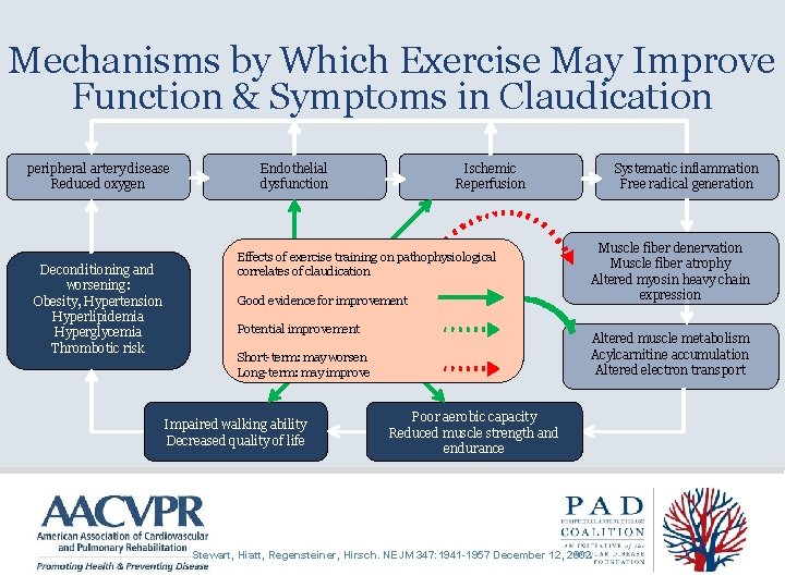 Mechanisms by Which Exercise May Improve Function & Symptoms in Claudication peripheral artery disease