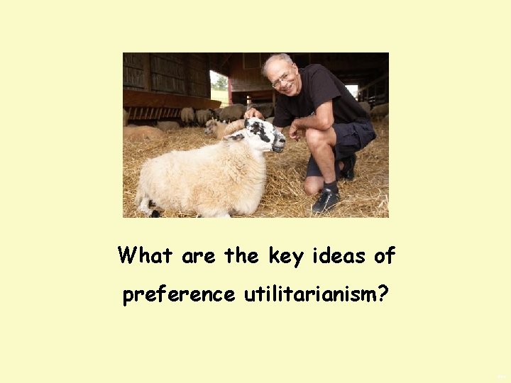 What are the key ideas of preference utilitarianism? BWS 
