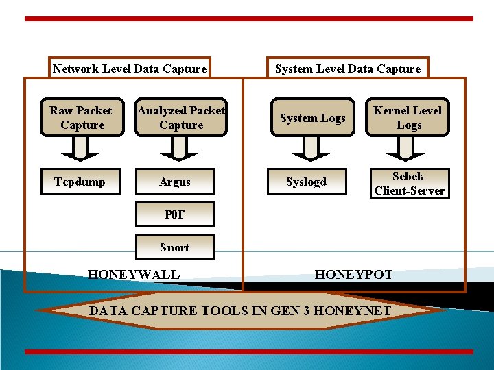 Network Level Data Capture Raw Packet Capture Tcpdump Analyzed Packet Capture Argus System Level
