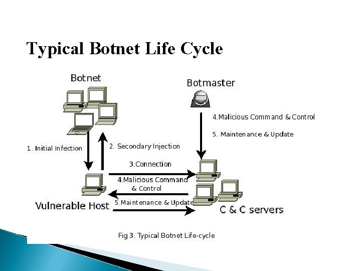 Typical Botnet Life Cycle 