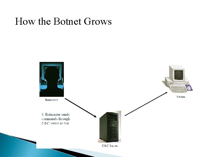 How the Botnet Grows 