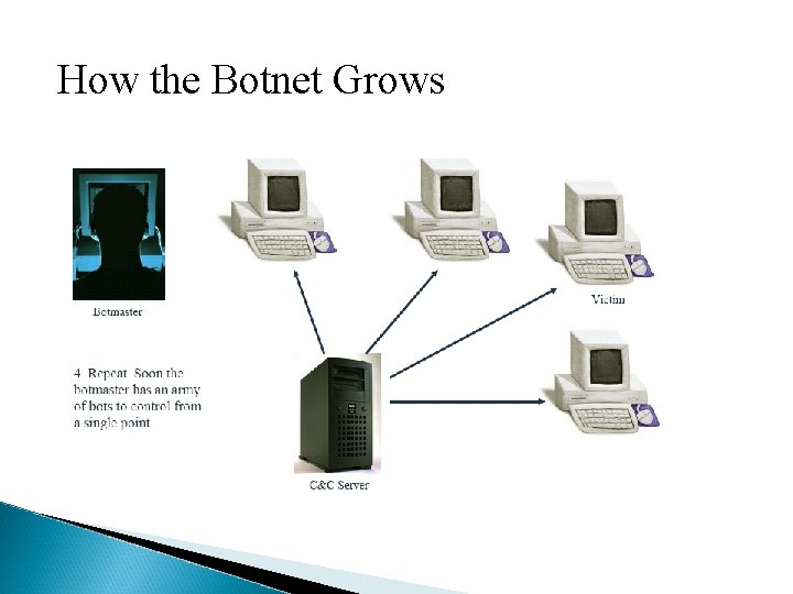 How the Botnet Grows 