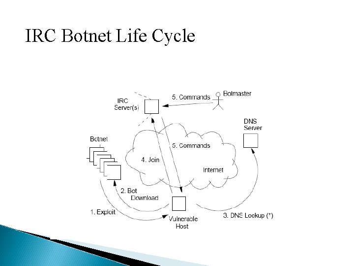 IRC Botnet Life Cycle 