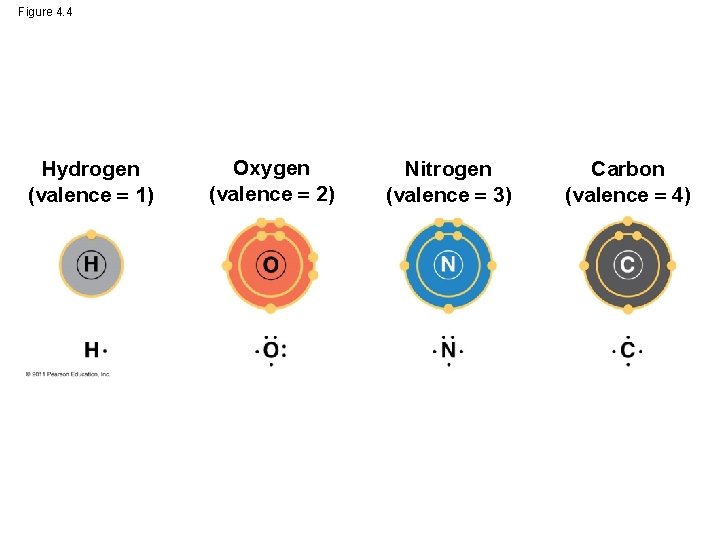 Figure 4. 4 Hydrogen (valence 1) Oxygen (valence 2) Nitrogen (valence 3) Carbon (valence