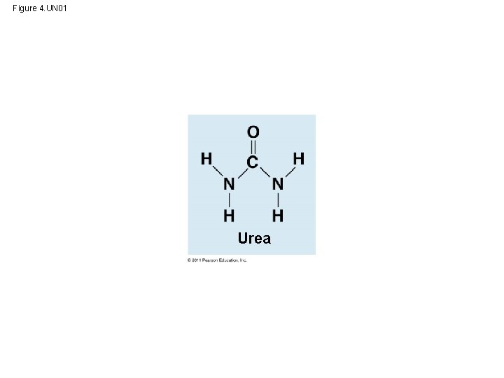 Figure 4. UN 01 Urea 