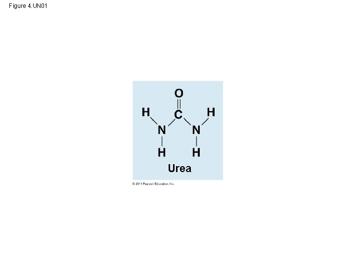 Figure 4. UN 01 Urea Figure 4. UN 01 Urea
