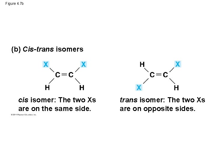 Figure 4. 7 b (b) Cis-trans isomers cis isomer: The two Xs are on Figure 4. 7 b (b) Cis-trans isomers cis isomer: The two Xs are on