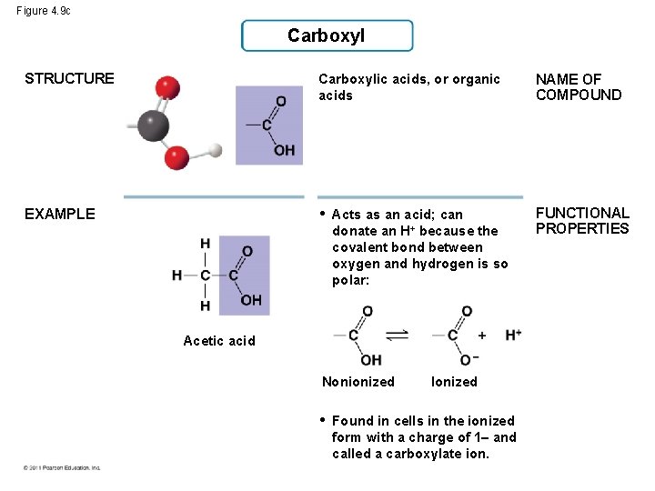 Figure 4. 9 c Carboxyl STRUCTURE Carboxylic acids, or organic acids NAME OF COMPOUND Figure 4. 9 c Carboxyl STRUCTURE Carboxylic acids, or organic acids NAME OF COMPOUND