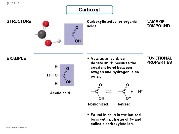 Figure 4. 9 c Carboxyl STRUCTURE Carboxylic acids, or organic acids NAME OF COMPOUND