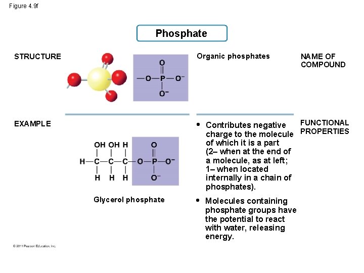 Figure 4. 9 f Phosphate STRUCTURE Organic phosphates EXAMPLE • FUNCTIONAL Contributes negative charge