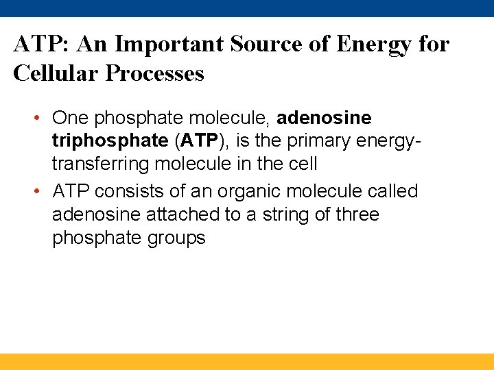 ATP: An Important Source of Energy for Cellular Processes • One phosphate molecule, adenosine