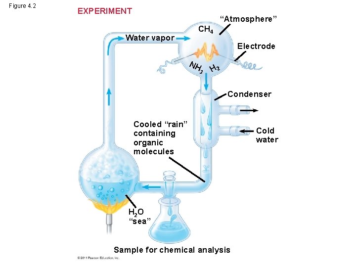 Figure 4. 2 EXPERIMENT “Atmosphere” Water vapor CH 4 Electrode NH 3 H 2 Figure 4. 2 EXPERIMENT “Atmosphere” Water vapor CH 4 Electrode NH 3 H 2