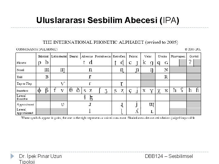 Uluslararası Sesbilim Abecesi (IPA) Dr. İpek Pınar Uzun Tipoloji DBB 124 – Sesbilimsel 