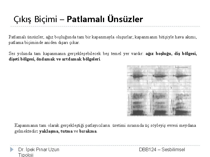 Çıkış Biçimi – Patlamalı Ünsüzler Patlamalı ünsüzler, ağız boşluğunda tam bir kapanmayla oluşurlar; kapanmanın