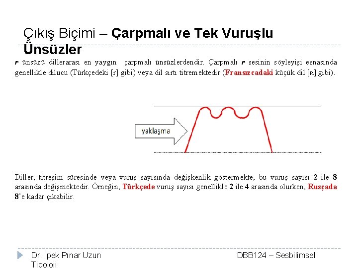 Çıkış Biçimi – Çarpmalı ve Tek Vuruşlu Ünsüzler r ünsüzü dillerarası en yaygın çarpmalı