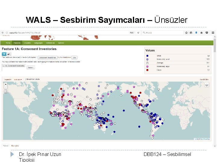 WALS – Sesbirim Sayımcaları – Ünsüzler Dr. İpek Pınar Uzun Tipoloji DBB 124 –