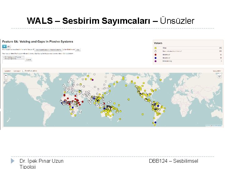 WALS – Sesbirim Sayımcaları – Ünsüzler Dr. İpek Pınar Uzun Tipoloji DBB 124 –