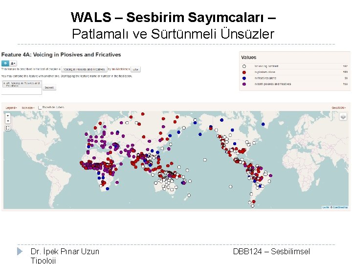 WALS – Sesbirim Sayımcaları – Patlamalı ve Sürtünmeli Ünsüzler Dr. İpek Pınar Uzun Tipoloji