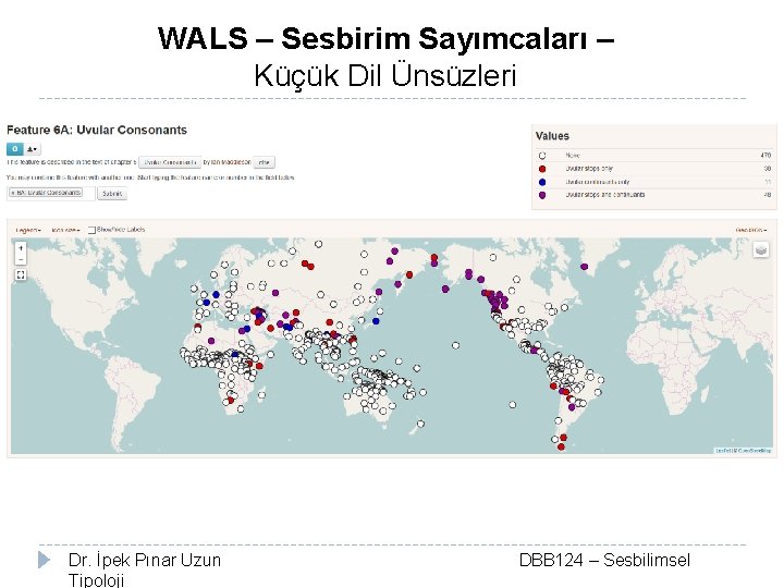 WALS – Sesbirim Sayımcaları – Küçük Dil Ünsüzleri Dr. İpek Pınar Uzun Tipoloji DBB