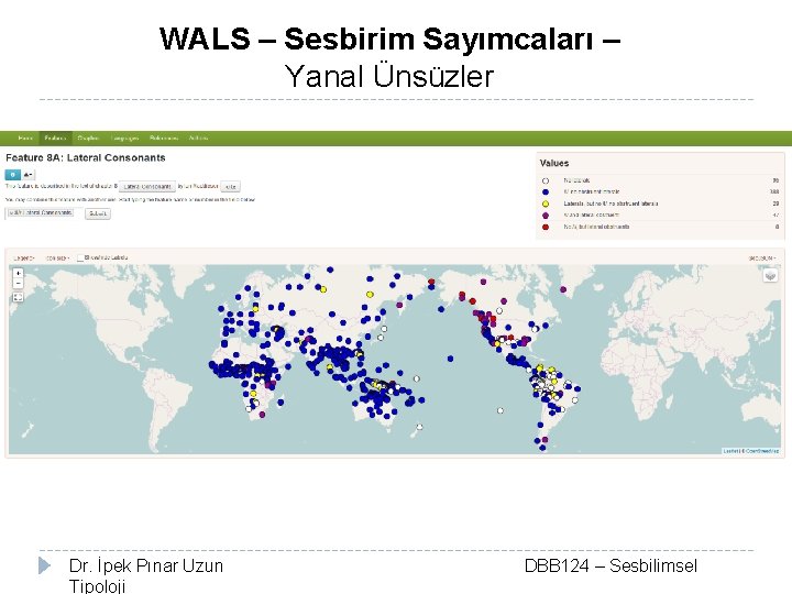 WALS – Sesbirim Sayımcaları – Yanal Ünsüzler Dr. İpek Pınar Uzun Tipoloji DBB 124